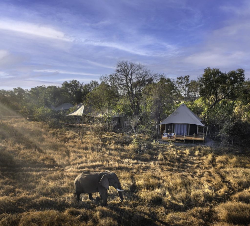 Botswana Moremi Khwai Lediba Camp Iwanowskis Reisen - afrika.de